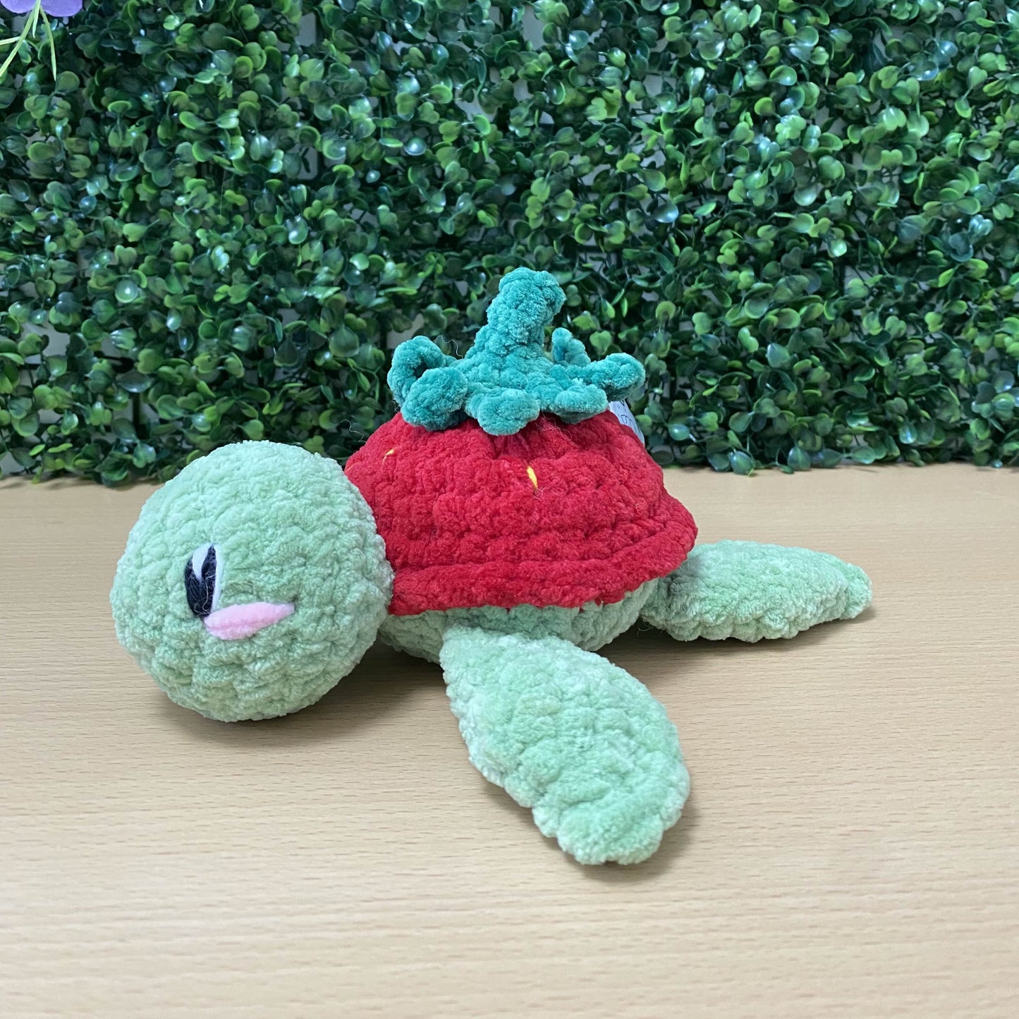 Frucht Schildkröte