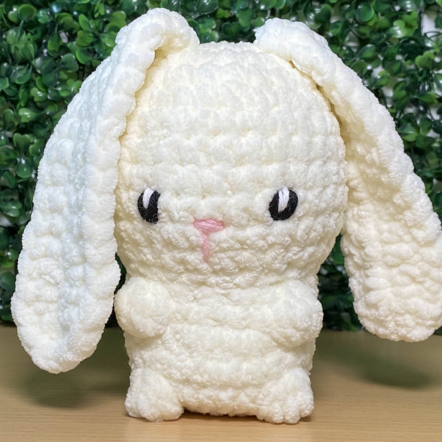 Hase