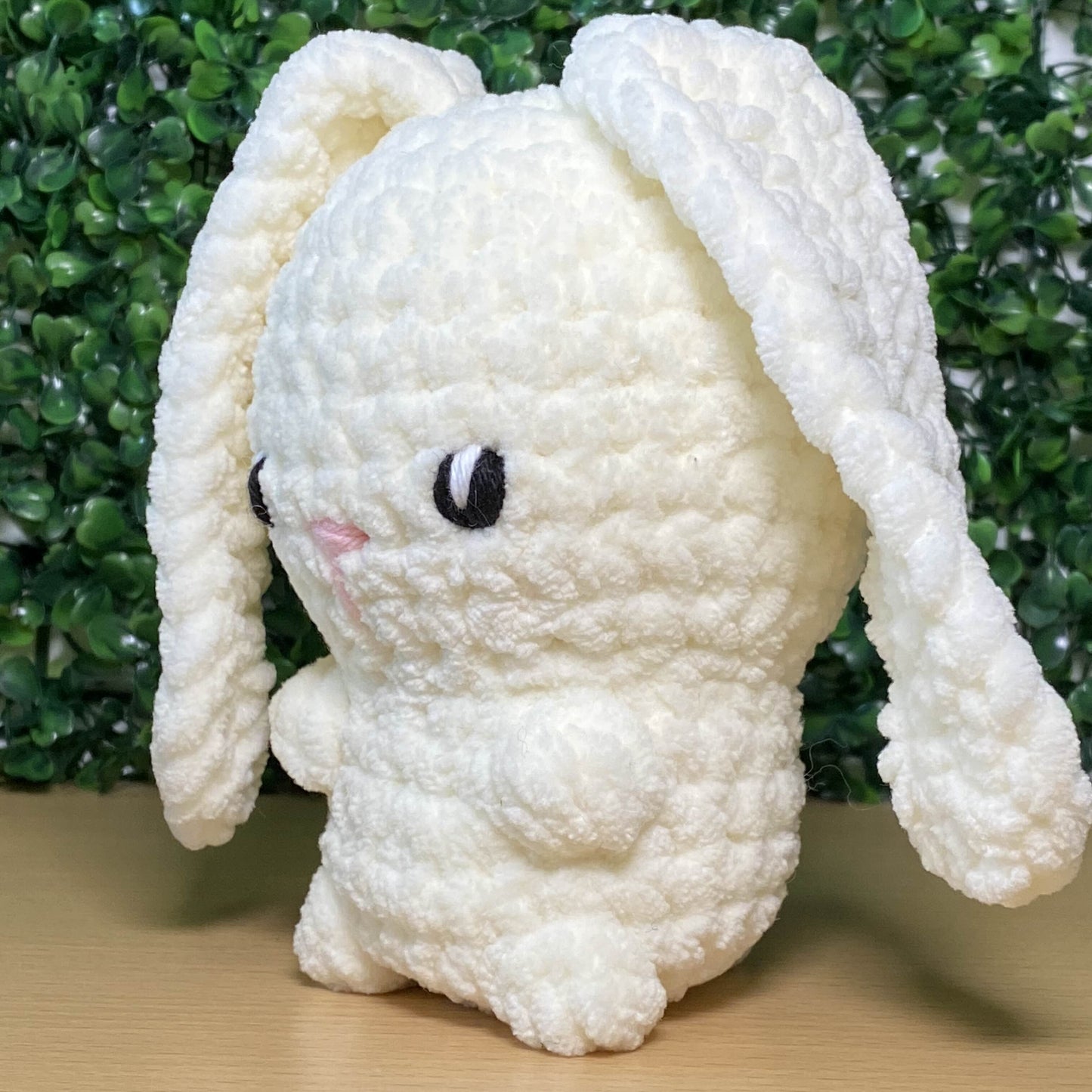 Hase