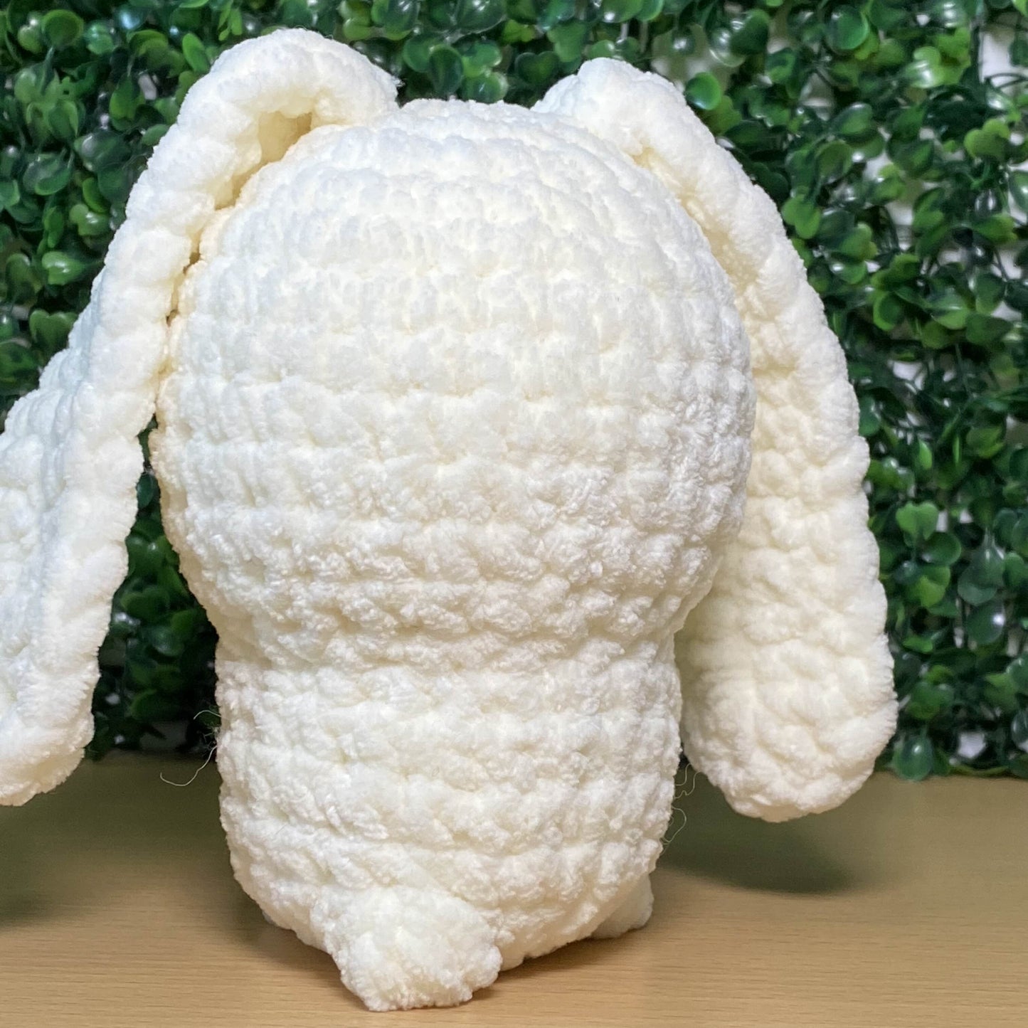 Hase