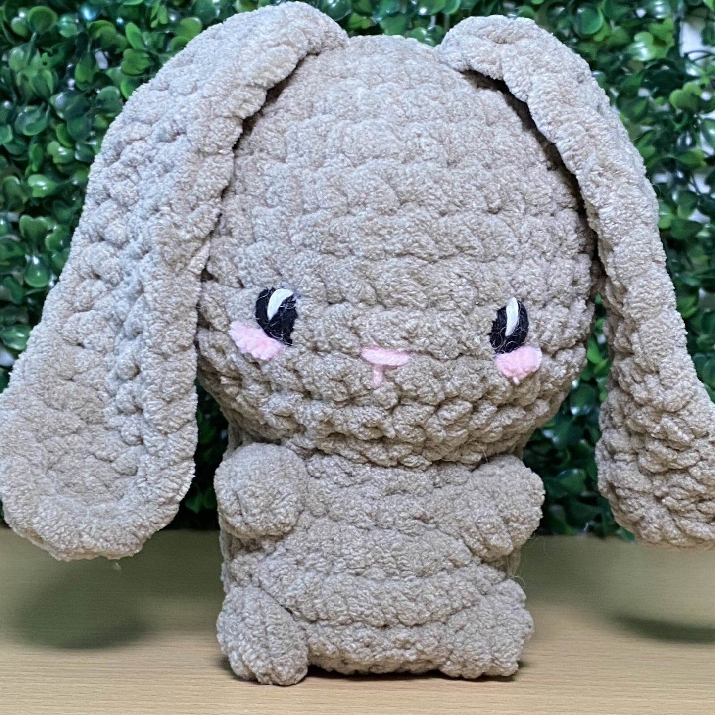 Hase
