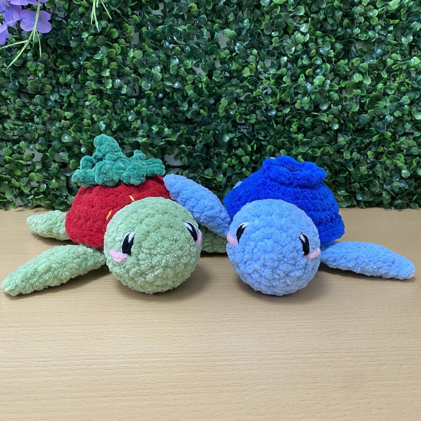 Frucht Schildkröte