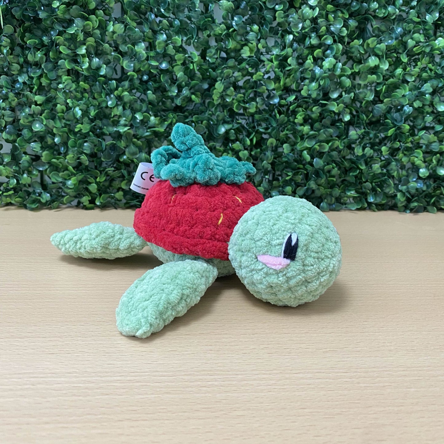 Frucht Schildkröte