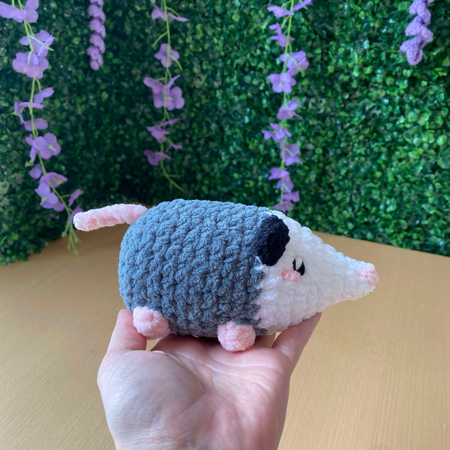 Opossum