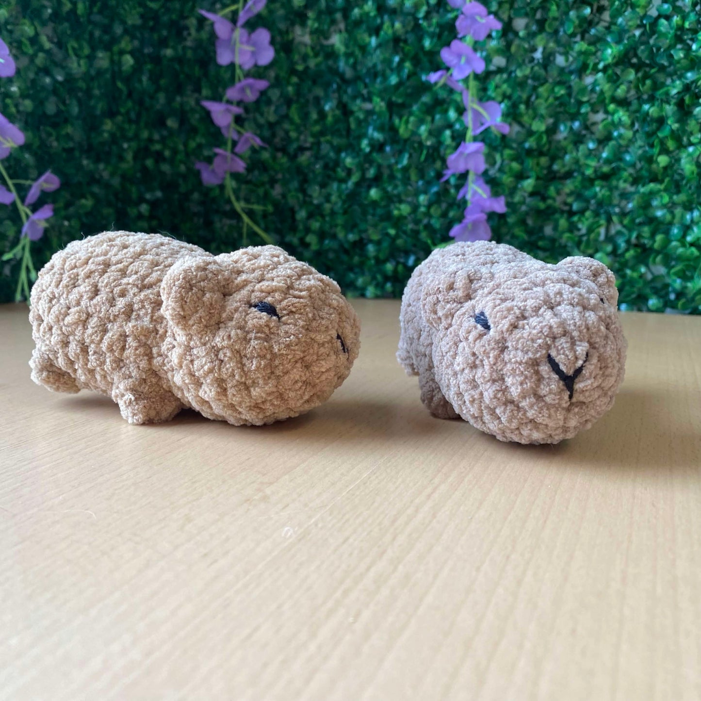 Capybara