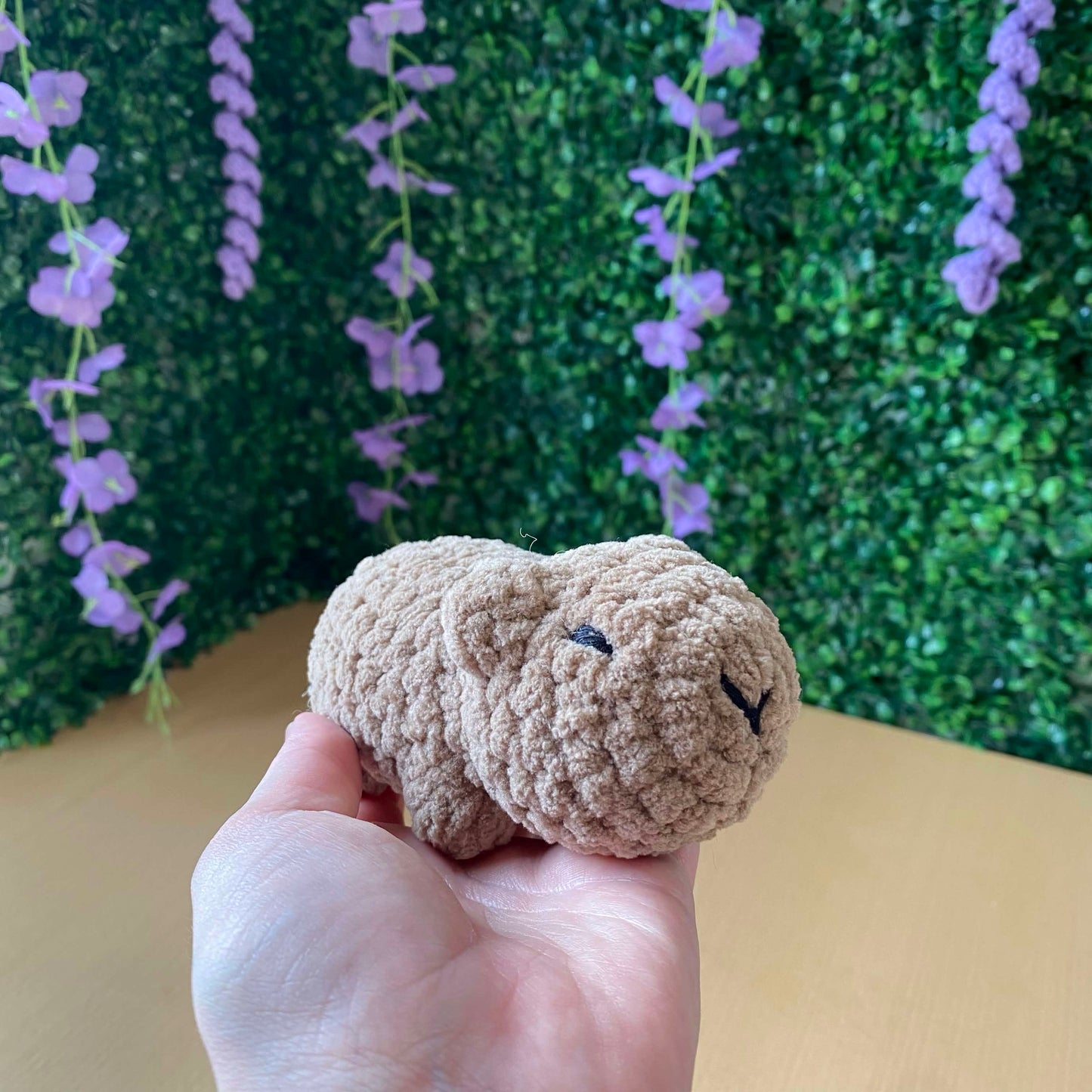 Capybara