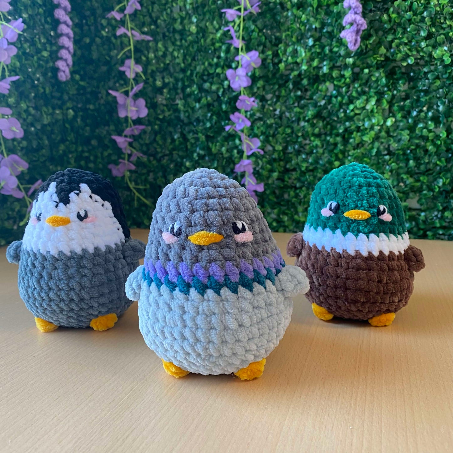 Chonky Birds