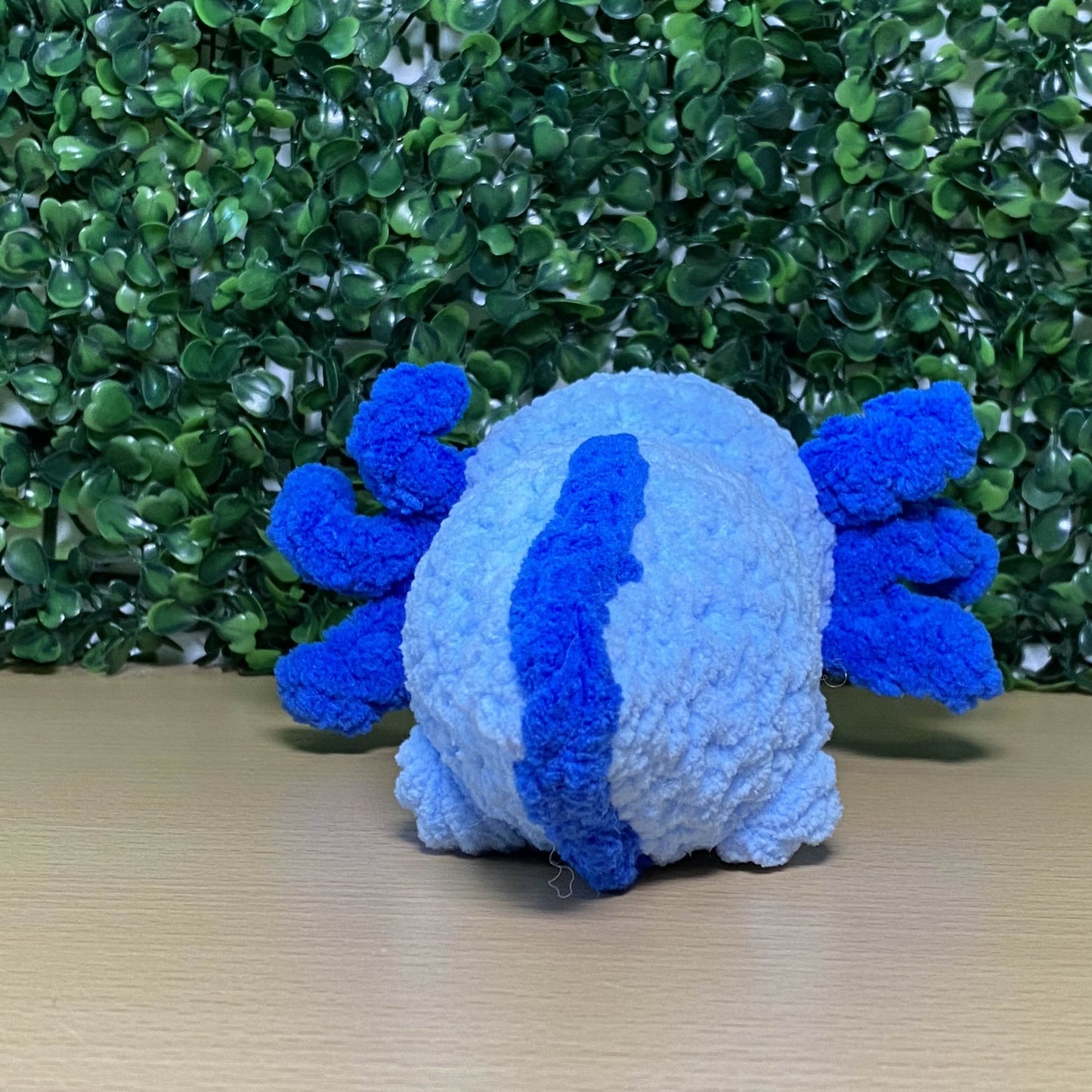 Axolotl