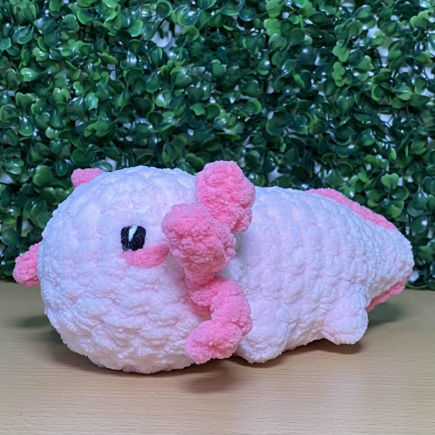 Axolotl