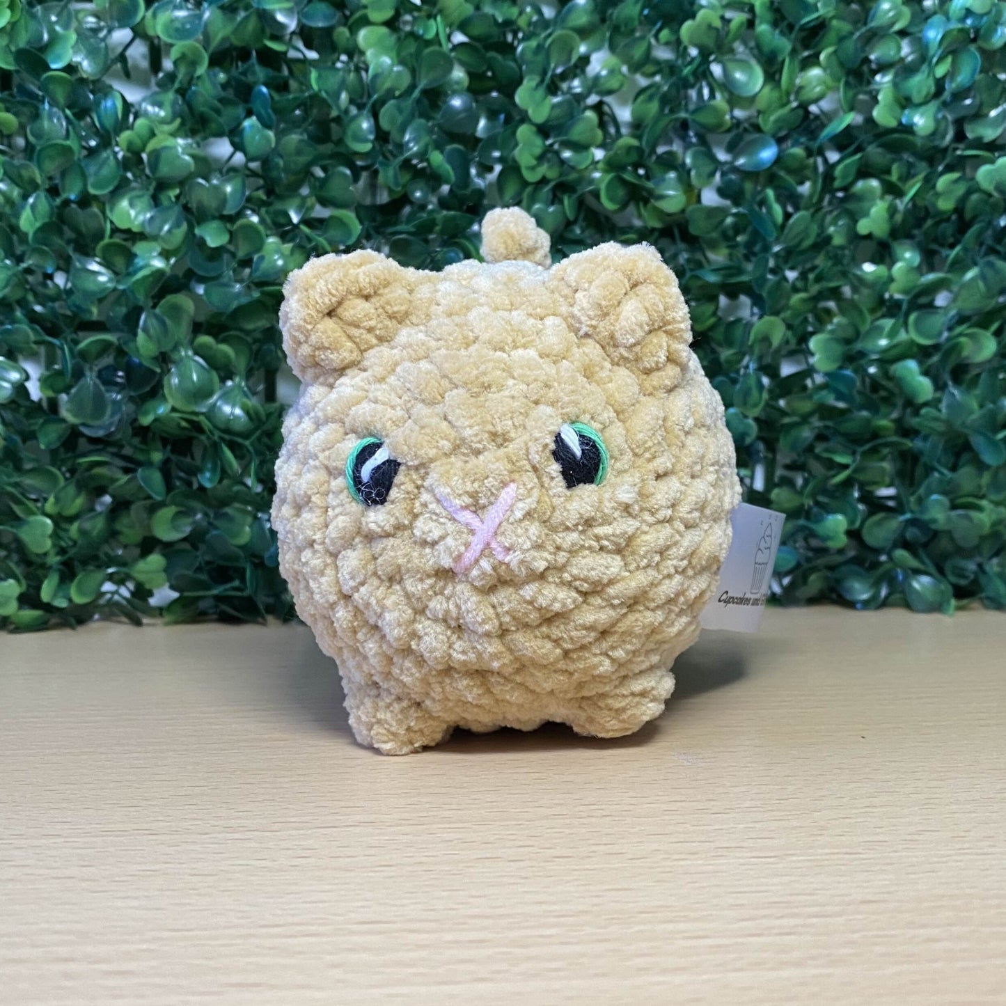 Kitten